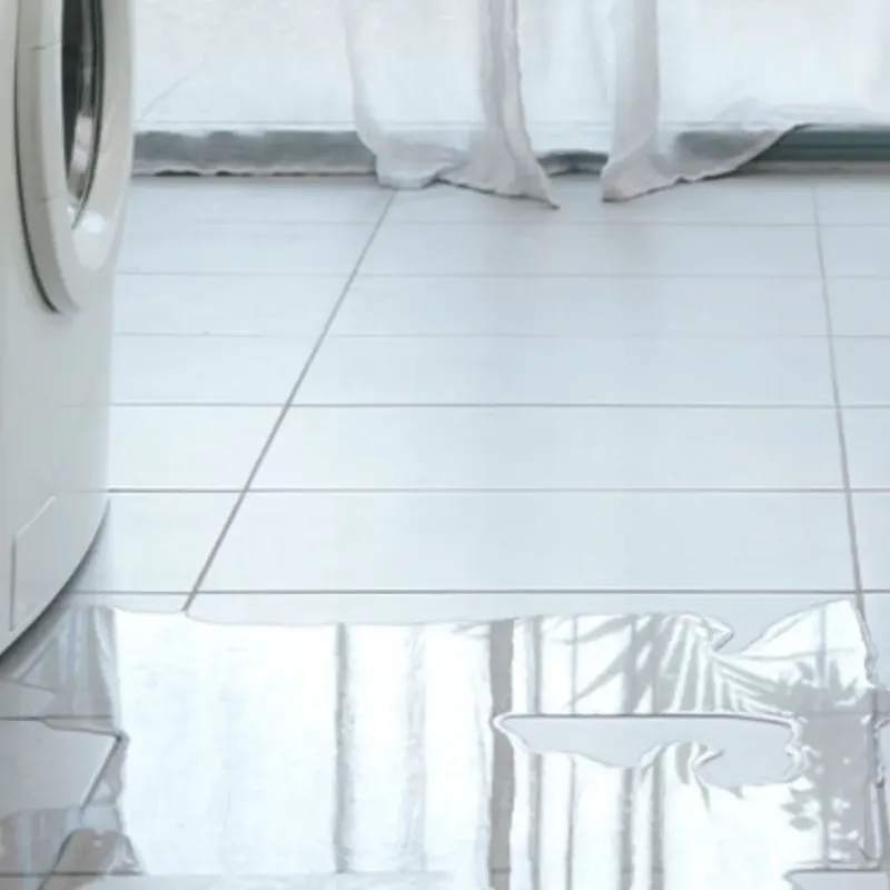 Appliance Leak Cleanup in Bastrop, TX