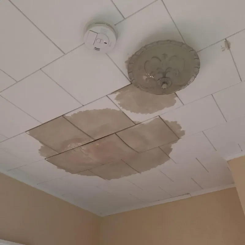 Ceiling Water Damage Repair in Bastrop, TX