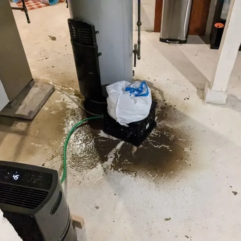 Sewage Backup Cleanup Service in Bastrop, TX